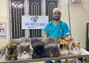 best pet clinic in vizag5